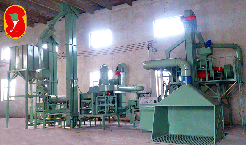 Beans Seed Processing Production Line with High Efficiency