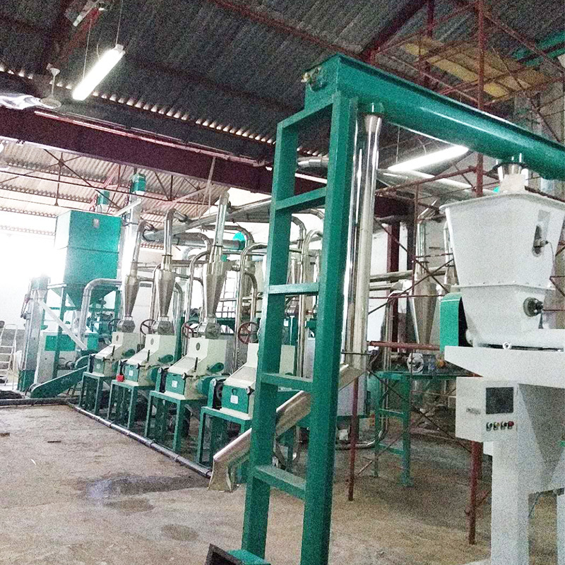 100t/24h Maize Milling Plant for Africa Kenya Zambia Tanzania