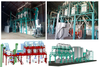 SGS Certification Maize Seed Milling Machine on Sale