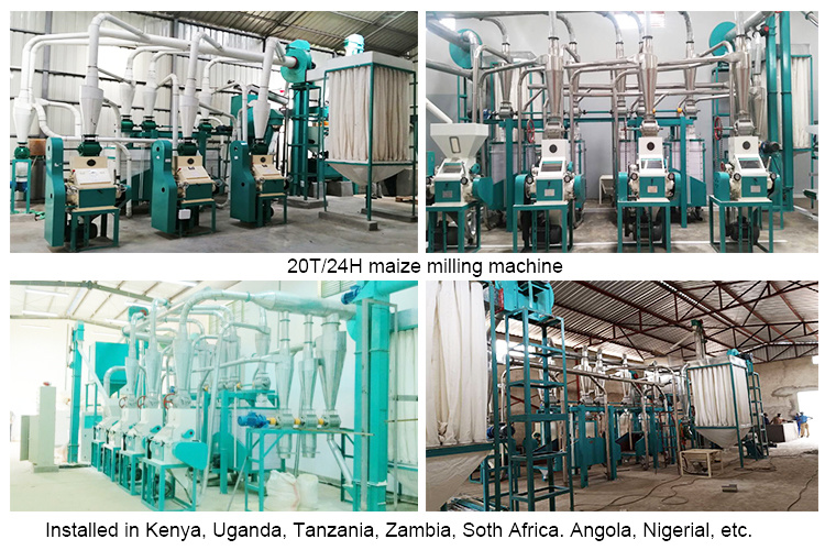 SGS Certification Maize Seed Milling Machine on Sale