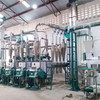 Design for Africa Market 10t/24h Maize Milling Plant in Small Capacity