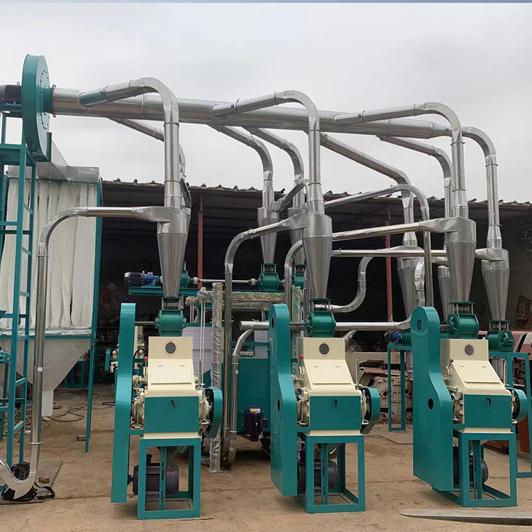 Professional Manufacture Customized Maize Flour Milling Plant for Cameroon Market