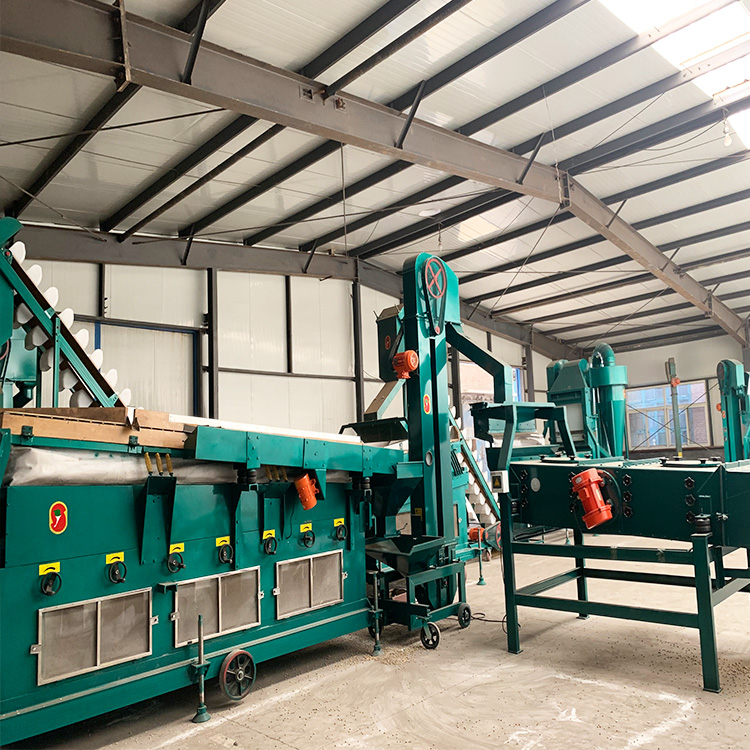 Soybean, Beans Seed Cleaning Machine Complete Line